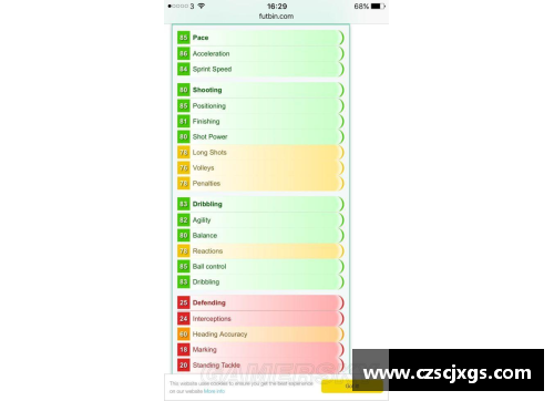 分析球员参赛记录的方法与技巧